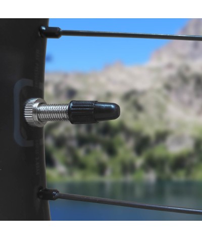 Valves Tubeless en Laiton 44 mm