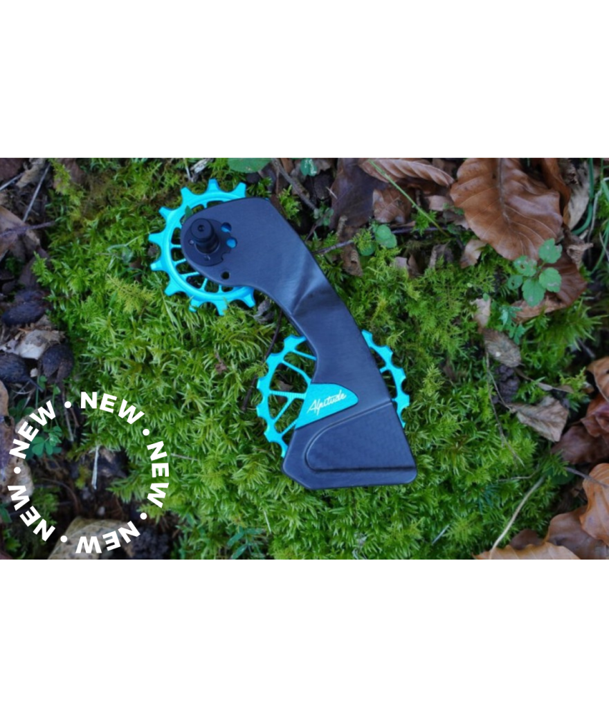 Chape Carbone Céramique BRANDTAL OSPW - Shimano - 12S