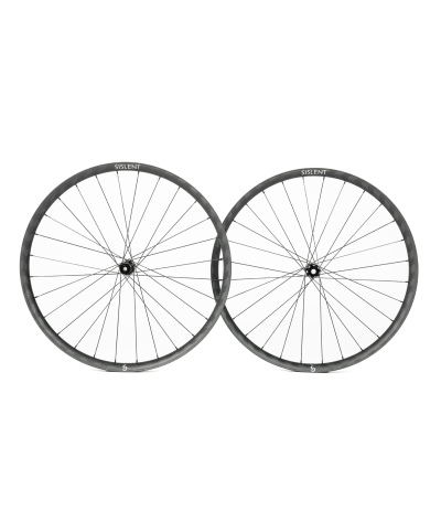 Paire de roue Sislent Terra 34