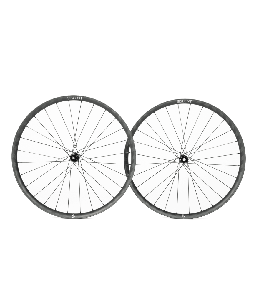 Paire de roue Sislent Terra 34